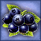 Liciousberry