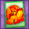 Fire Flower Card