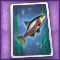 "Cave Fish" Card