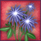 Midnight Floss-Flower