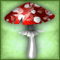 Forest Toadstool