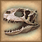 Lizard Fossil Skull