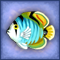 Azure Dayfish
