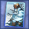 Snowger Card