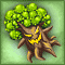 Arboris Leaf