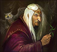 Kostenloses MMORPG Drachenkrieg